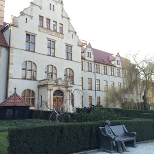 UAM kierunki studiów
